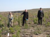 Çanakkale'de Orman Yangınları İle Mücadelede Büyük Başarı