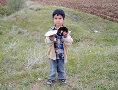 MUSTAFA UYANıK - Mantarın zehirsiz olup olmadığına dikkat