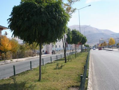 Peyzaj Çalışmaları Artarak Sürüyor