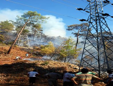 CAMLI - Marmaris'in Ciğerlerini Elektrik Çarptı