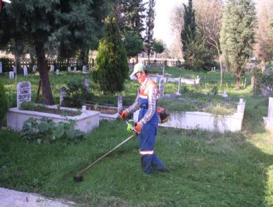 YAŞAR YAZıCı - Akyazı'da Mezarlıklara Bakım Yapıldı