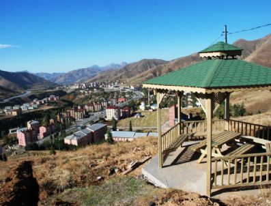 FEHMI ALAYDıN - Bitlis Kent Ormanı'nda Çalışmalar Sürüyor