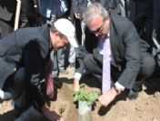 'Umutlar Cevizle Okulda Yeşersin' Projesi