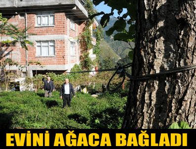 KUYULAR - Ağır hasarlı evini ağaca bağladı