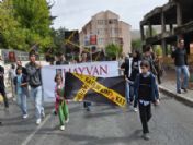 Bitlis'te Hayvan Severler Yürüdü