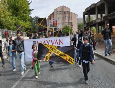 UFUK BAYRAKTAR - Bitlis'te Hayvan Severler Yürüdü