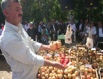 SELIM SADAK - Şirvan'da Zivzik Narı İçin Düzenlenen Şölen