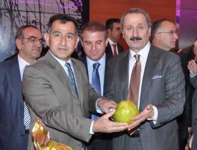 DAILY TELEGRAPH - Uymsib, 2011'i 'Armut Yılı' İlan Etti