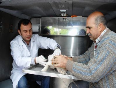 Bornova'da Hayvanlara Ambulanslı Sağlık Hizmeti