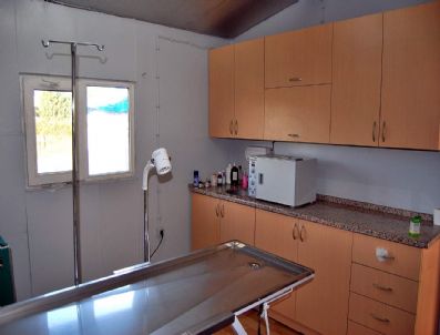 DÜNYA HAYVANLARı KORUMA GÜNÜ - Çimenoğlu, 4 Ekim Dünya Hayvanları Koruma Gününü Kutladı