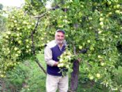 Kalp Krizini Önlediği İddia Edilen Elmalar Yok Satıyor