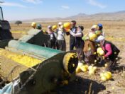 1. Kabak Hasat Bayramı Yapıldı