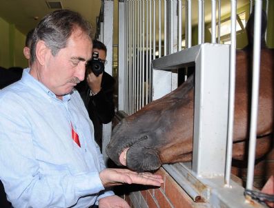 SAVARONA - Bakan Günay: 'Savarona Müze Olmalı'