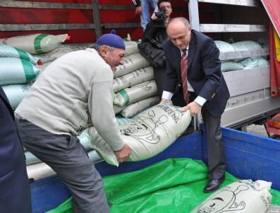 İBRAHIM ÖZÇIMEN - Bolu'da Bin 75 Çiftçiye Sertifikalı Buğday Tohumu Dağıtıldı