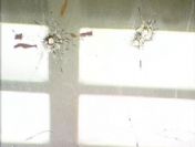 Şişli Belediyesi'ne silahlı saldırı