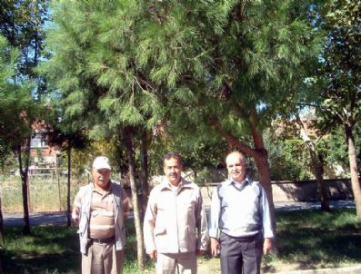 İĞDE - Balıkesir'de Komşuların Yeşil Dayanışması