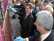 Dilovası Rengarenk Oluyor