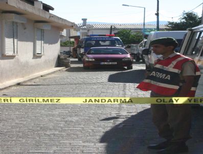 Milas'ta Kaçak Kazı Operasyonu