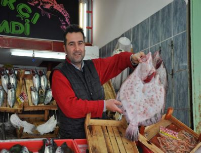 Kurbanlıkların Pahalı Olması Balıkçıların Yüzünü Güldürdü