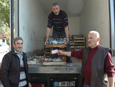 Sakarya'da Bir Kasa Hamsi 10 Tl'den Satıldı