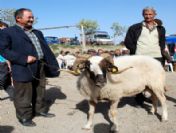 Kurbanlıklar El Yakıyor