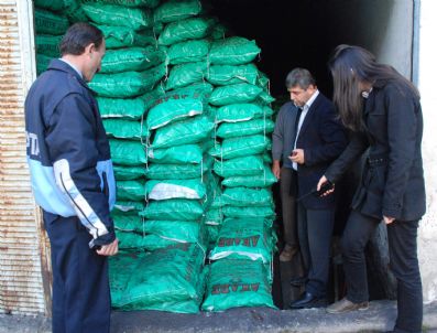 ÖZLEM YILMAZ - Taşköprü Belediyesi Kömür Satan İşletmeleri Denetledi