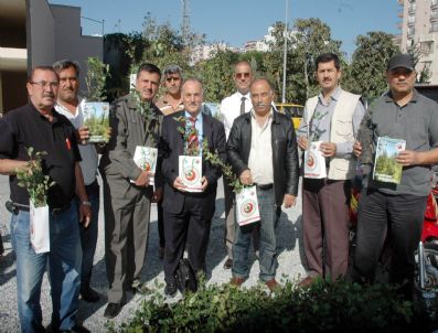 KOCAHASANLı - Cuma Namazı Çıkışında Vatandaşa Fidan Dağıtıldı