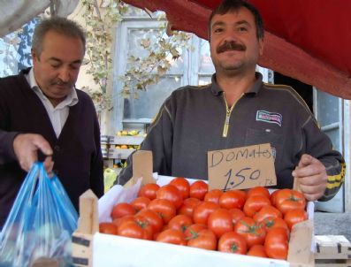 Domatesin Fiyatı 1,5 Tl'ye Düştü