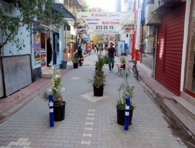 TUNCAY KıLıÇ - Edremit'in Sokakları Çiçek Açıyor