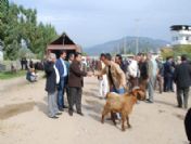 Böyle Başkan Görülmedi