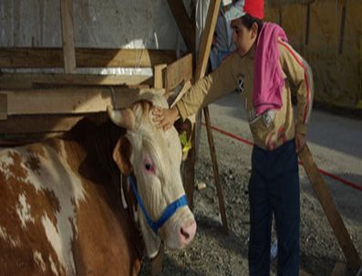 Kurban kesimini çocuklara izlettirmeyin
