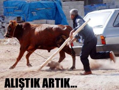 BALGAT - Memleketten kurban manzaraları