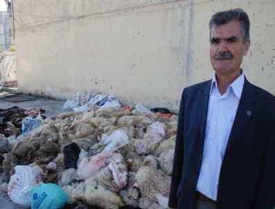 Deri Fiyatlarının Artması Bağışları Düşürdü