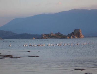DOKUZ EYLUL ÜNIVERSITESI - Hayalet Göl Bafa, Hayata Döndü