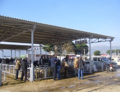 Ödemiş Hayvan Pazarında Gece Alışverişleri Sona Eriyor