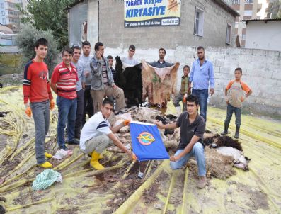 Tarsus'ta 11 Bin 522 Adet Deri Toplandı