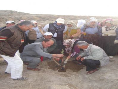 KUNDUZLU - 700 Bin Fidan Toprakla Buluşuyor