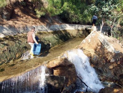 DSI - Alanya'da Sulama Kanalının Duvarı Çöktü