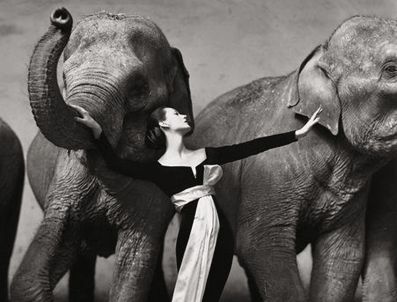 Tek fotoğrafa 1.15 milyon dolar!