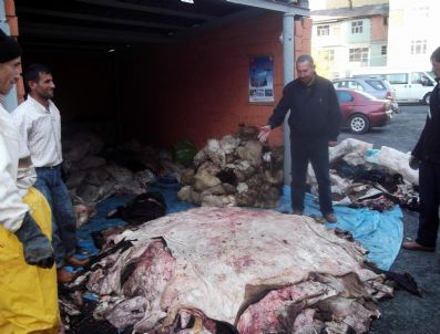 Suşehri Yürk Hava Kurumu 350 Deri Topladı