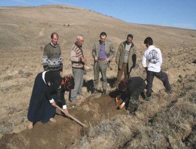 Yozgat Çevre Ve Orman İl Müdürlüğü 5 Milyon Fidan Dikmeyi Hedefliyor