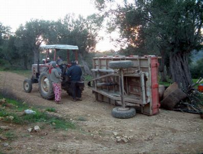 KAYAPA - Burhaniye De Traktör Römorku Devrildi: 7 Yaralı