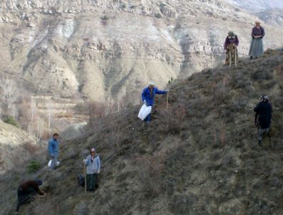 SALYAZı - Örnek Köylüler