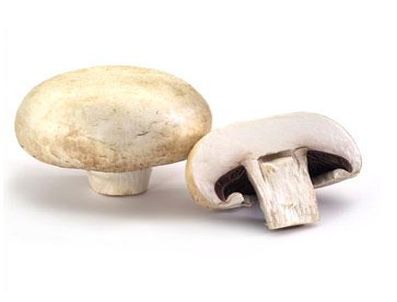 RUS RULETI - Bu 10 mantar öldürüyor!