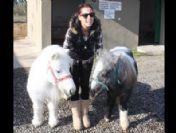 Doğa Rutkay Samsun'da midilli atlara büyük ilgi gösterdi