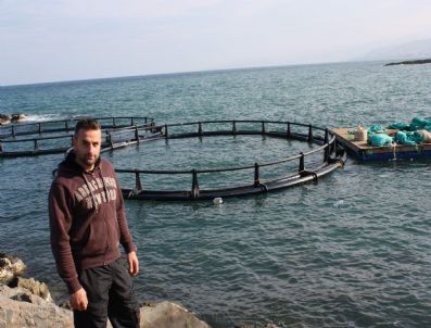 GIZLI KAMERA - Trabzon'da Bir Kafes Balıkçısının Feryadı