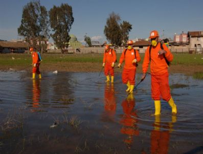 HAMAMBOCEĞI - Barut: 'Hedefimiz Sineksiz Bir Yaz'
