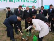 Kelkit-köse Karayoluna 2 Bin Sarı Çam