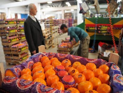 DOĞANBEY - Mandalina Üreticisine Büyükşehir'den Can Simidi