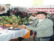 Seferihisar'da Mandalina Festivali Başladı
